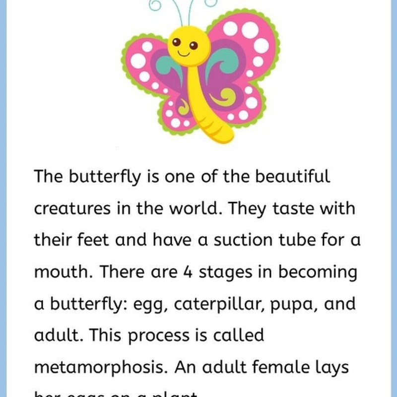 let's learn everything