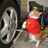 Автор
