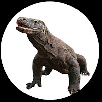 KOMODO STORY CHANNEL profile image
