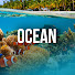 fG2DQ0zVtCc-channel-avatar-Free Documentary - Ocean