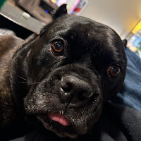 Profile Picture of Ace brown