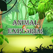 Animal Explorer