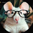 tDYvl6fth_Y-channel-avatar-Cardon Bilir