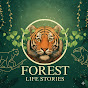 Forest Life Stories Avatar