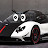 @paganizonda760 Avatar