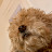 @user-yd9sb3mx1p