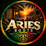 DaLpXQeuOVU-channel-avatar-Aries Roots
