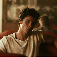 Shawn Mendes: All about him