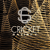 Cricket Satisfy 🏏