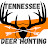 Tennessee Deer Hunting