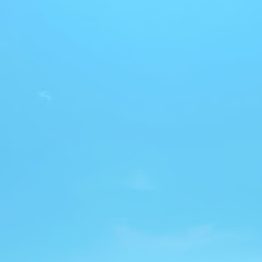 カスっとカスカス