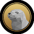 _LciF2Qs7I0-channel-avatar-Seal Examines Games