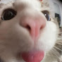 binki