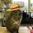 Capybara d luffy