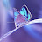 @rawanranoosh-c5t
