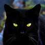 Black Cat Wargames