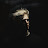 ARAM