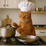 jeKuT_XHWGg-channel-avatar-Cooking with Mish
