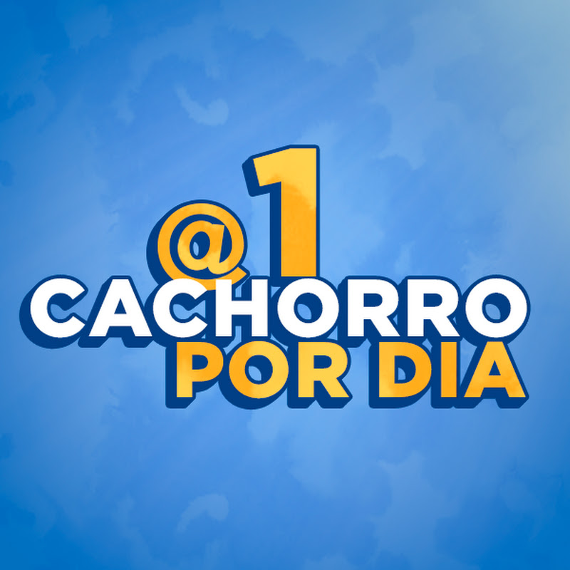 1 Cachorro por Dia