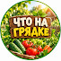 t0yZ2kNSGO8-channel-avatar-Что на грядке?
