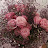 @즐거워-j2e