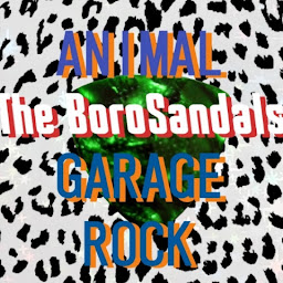 ROCK Band The BoroSandals 