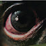 h69PtQrU8ks-channel-avatar-Ghost Uncut