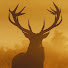 28UmmefuVDI-channel-avatar-Shootist