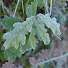 bw6hueC_9SY-channel-avatar-Aranburu Bideoak