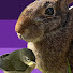 wOIcCMN6I6Y-channel-avatar-Vesoralla