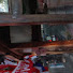 BzDsbkM9fy4-channel-avatar-bandung Animal