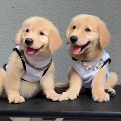 CUTE 💯