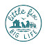 MnOtFt434XE-channel-avatar-Little Fix Big Life