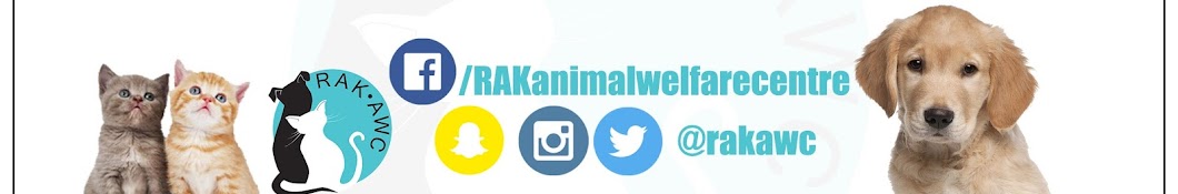 Ras Al Khaimah Animal Welfare Centre YouTube channel avatar