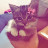 @NourMohamed-bb1vr