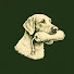 5nBhxtQFucY-channel-avatar-Five Valleys Gundogs