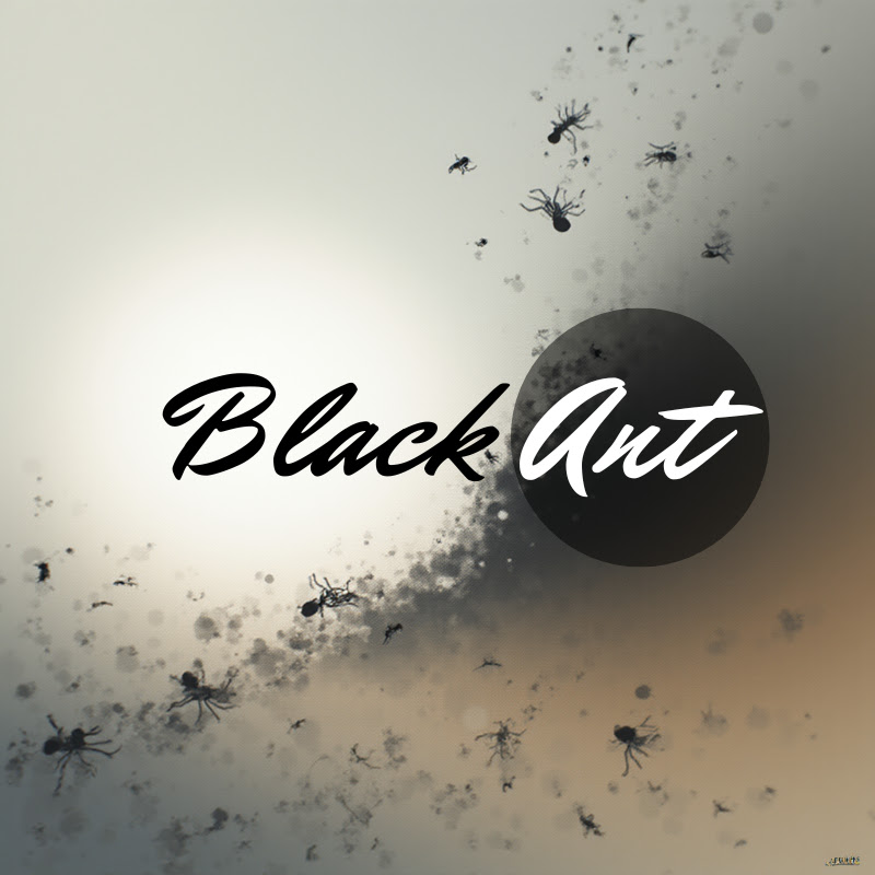Black Ant