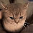 vV3voWcZCY4-channel-avatar-Roo