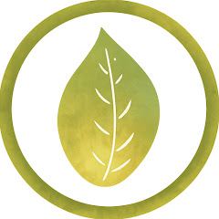 セラピスファイトTV