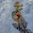 @HassanSaban-m3c