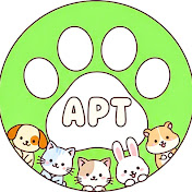 Animal Peace Therapy