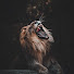 UKePXySVqYc-channel-avatar-ghazi_al240