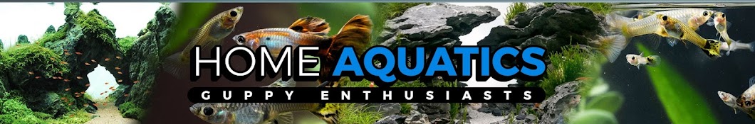 Home Aquatics Hobby YouTube 频道头像