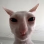 Meloonivesi