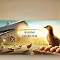 Hashmi Chicks Hub logo