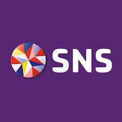 SNS Bank net worth