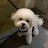 @otium0831
