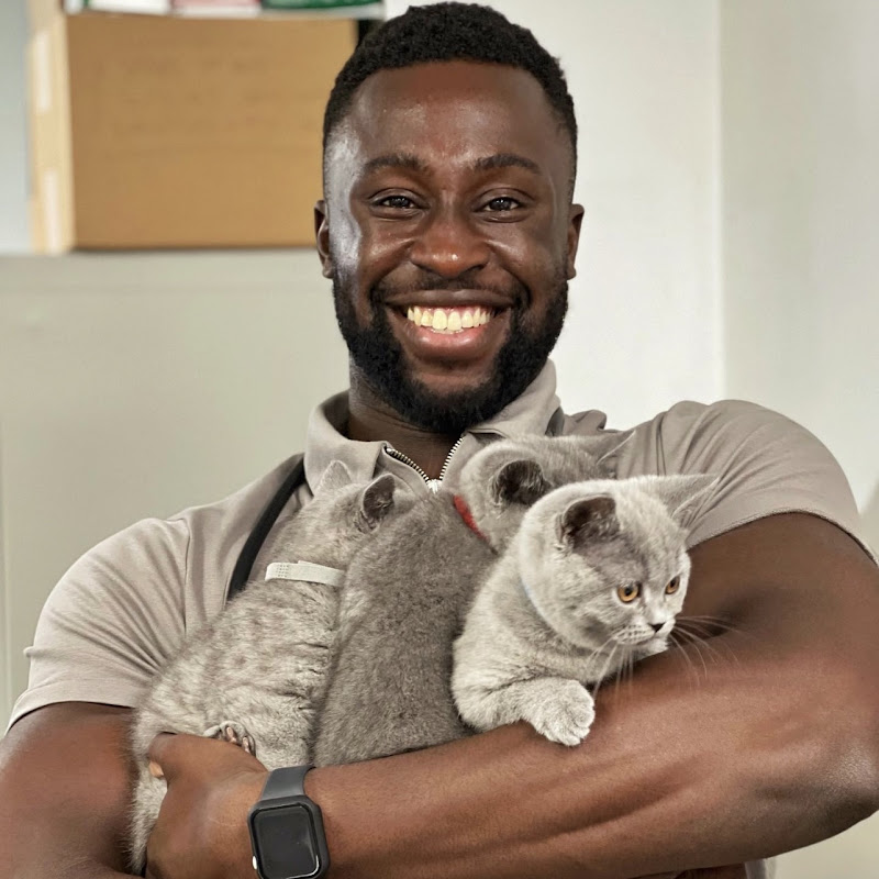 Dr Bolu Eso