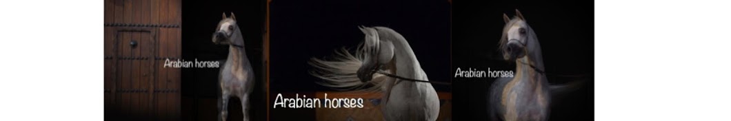 Arabian horses Ø§Ù„Ø®ÙŠÙ„ Ø§Ù„Ø¹Ø±Ø¨ÙŠ YouTube channel avatar