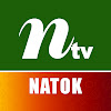 What could NTV Natok buy with $5.6 million?
